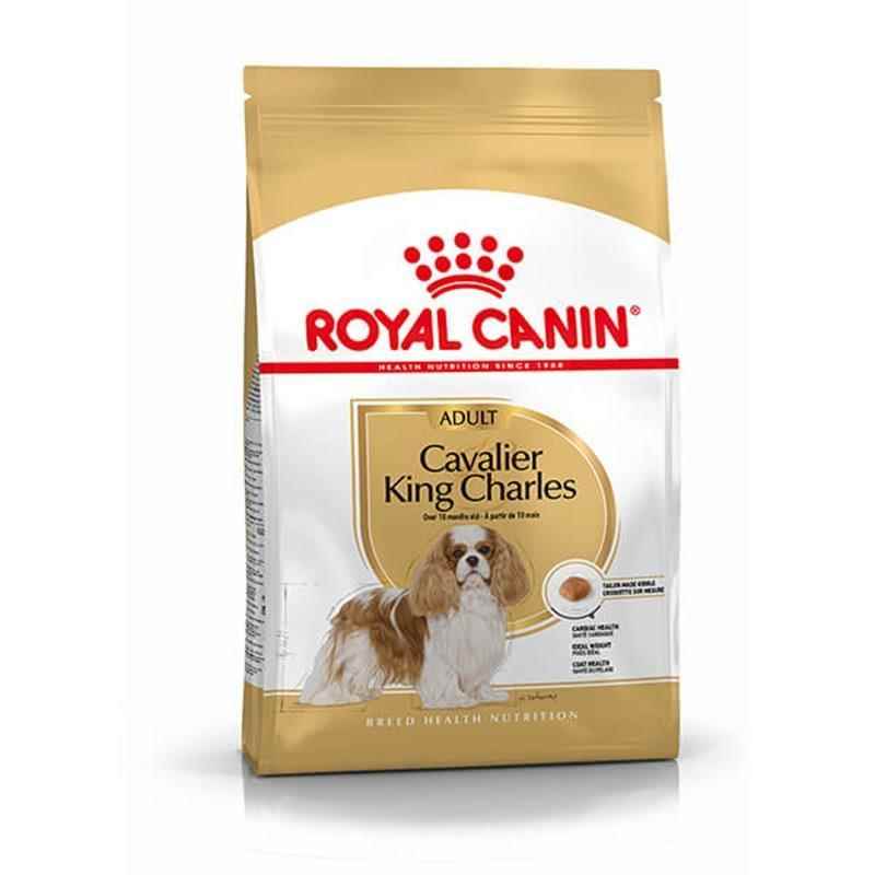 Royal Canin Cavalier King Charles  Yetişkin Köpek Maması 3 kg