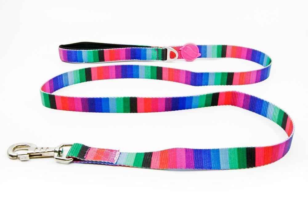 Tailpetz Wave Leash Köpek Gezdirme Tasması Medium