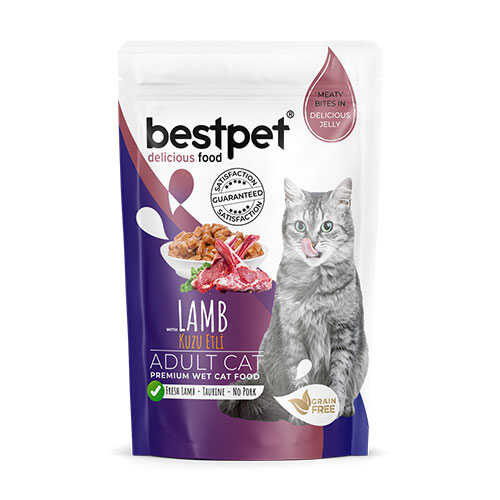 bestpet-pouch-kuzu-etli-jelly-tahilsiz-yetiskin-kedi-konservesi-85-gr-yetikin-kedi-konservesi-bestpet-932905-56-B BestPet Pouch Kuzu Etli Jelly Tahılsız Yetişkin Kedi Konservesi 85 Gr - Görsel 1