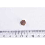 Brit Care Sensitive Hipoalerjenik Larva Proteinli Tahılsız Yetişkin Kedi Maması 2 Kg - Görsel 2