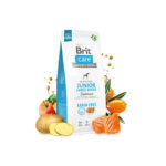 Brit Care Skin Coat Somonlu Büyük Irk Tahılsız Yavru Köpek Maması 12 Kg - Görsel 2