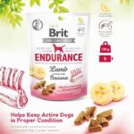 Brit Endurance Kuzu Etli ve Muzlu Köpek Ödülü 150 Gr - Görsel 2