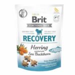 Brit Recovery Ringa Balıklı Köpek Ödülü 150 Gr