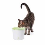 Catit Fresh Clear Otomatik Kedi Su Kabı 3 Lt - Görsel 2