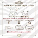 Doggie Boğma Zincir Krom Kaplama Eğitim Tasması 4x75 75 Cm - Görsel 3
