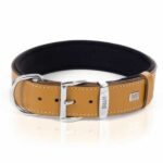 Doggie Konfor Deri Köpek Boyun Tasması Camel 4x57 65 Cm - Görsel 3