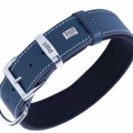 Doggie Konfor Deri Köpek Boyun Tasması Royalblue 3,5x47 55 Cm - Görsel 2