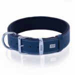 Doggie Konfor Deri Köpek Boyun Tasması Royalblue 3,5x47 55 Cm - Görsel 3
