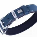 Doggie Konfor Deri Köpek Boyun Tasması Royalblue 3x42 50 Cm - Görsel 2