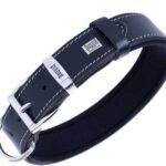 Doggie Konfor Deri Köpek Boyun Tasması Siyah 3,5x52 60 Cm - Görsel 2