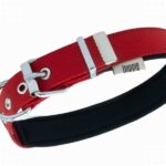 Doggie Konfor Dokuma Köpek Boyun Tasması Kırmızı 2,5x42 50 Cm - Görsel 2