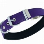 Doggie Konfor Dokuma Sade Köpek Boyun Tasması Mor 2,5x42 50 Cm - Görsel 2