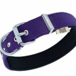Doggie Konfor Dokuma Sade Köpek Boyun Tasması Mor 3x42 50 Cm - Görsel 2