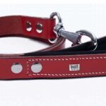 Doggie Konfor Klasik Deri Köpek Gezdirme Tasması Kırmızı 2,5x120 Cm - Görsel 3