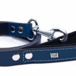 Doggie Konfor Klasik Deri Köpek Gezdirme Tasması Royalblue 2,5x120 Cm - Görsel 3