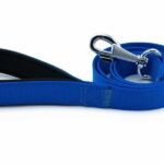 Doggie Konfor Klasik Dokuma Köpek Gezdirme Tasması Royalblue 2,5x120 Cm - Görsel 3