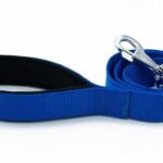 Doggie Konfor Klasik Dokuma Köpek Gezdirme Tasması Royalblue 3x100 Cm - Görsel 3