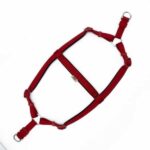 Doggie Konfor Ronin Dokuma Köpek Göğüs Tasması Kırmızı 2x55-65 Cm - Görsel 2