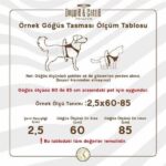 Doggie Konfor Ronin Dokuma Köpek Göğüs Tasması Royalblue 2x55-65 Cm - Görsel 3