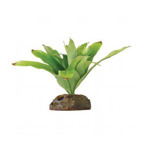exo-terra-kucuk-ipek-neoregelia-plastik-teraryum-bitkisi-kaplumbaa-yemleri-ve-bakm-rnleri-exo-terra-932653-55-B Exo Terra Küçük İpek Neoregelia Plastik Teraryum Bitkisi - Görsel 1