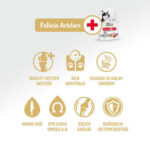 Felicia Hypoallergenic Medium Large Kuzulu Düşük Tahıllı Yetişkin Köpek Maması 3 Kg - Görsel 2