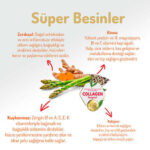 Felicia HypoAllergenic Small Mini Kuzulu Küçük Irk Düşük Tahıllı Yetişkin Köpek Maması 3 Kg - Görsel 3