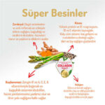 Felicia HypoAllergenic Small Mini Somonlu Küçük Irk Düşük Tahıllı Yetişkin Köpek Maması 6 Kg - Görsel 3