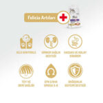 Felicia Hypoallergenic Urinary Somonlu Düşük Tahıllı Kısırlaştırılmış Kedi Maması 2 Kg - Görsel 2