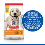 Hill's SCIENCE PLAN Adult Light Large Chicken Büyük Irk Tavuklu Light Köpek Maması 14 Kg - Görsel 2