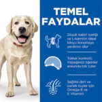 Hill's SCIENCE PLAN Adult Light Large Chicken Büyük Irk Tavuklu Light Köpek Maması 14 Kg - Görsel 3