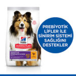 Hill’s SCIENCE PLAN Adult Medium Sensitive Stomach & Skin Chicken Hassas Yetişkin Köpek Maması 14 Kg - Görsel 2