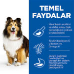 Hill’s SCIENCE PLAN Adult Medium Sensitive Stomach & Skin Chicken Hassas Yetişkin Köpek Maması 14 Kg - Görsel 3