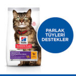 Hill’s SCIENCE PLAN Adult Sensitive Stomach&Skin Chicken Tavuklu Yetişkin Kedi Maması 1,5 Kg - Görsel 2