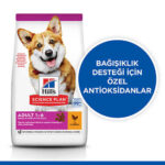 Hill’s SCIENCE PLAN Adult Small & Mini Chicken Küçük Irk Tavuklu Yetişkin Köpek Maması 6 Kg - Görsel 2