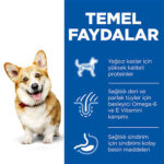 Hill’s SCIENCE PLAN Adult Small & Mini Chicken Küçük Irk Tavuklu Yetişkin Köpek Maması 6 Kg - Görsel 3