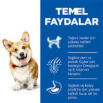 Hill’s SCIENCE PLAN Adult Small & Mini Lamb & Rice Küçük Irk Kuzulu Yetişkin Köpek Maması 6 Kg - Görsel 3