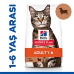 Hill’s SCIENCE PLAN Optimal Care Lamb Kuzulu Yetişkin Kedi Maması 10 Kg