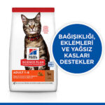 Hill’s SCIENCE PLAN Optimal Care Lamb Kuzulu Yetişkin Kedi Maması 10 Kg - Görsel 2