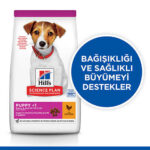 Hill’s SCIENCE PLAN Puppy Small & Mini Chicken Küçük Irk Tavuklu Yavru Köpek Maması 3 Kg - Görsel 2