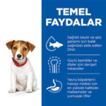 Hill’s SCIENCE PLAN Puppy Small & Mini Chicken Küçük Irk Tavuklu Yavru Köpek Maması 3 Kg - Görsel 3