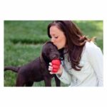Kong Classic Kauçuk Köpek Oyuncağı XS 6 Cm - Görsel 3