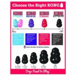 Kong Extreme Kauçuk Köpek Oyuncağı XL 13 Cm - Görsel 3