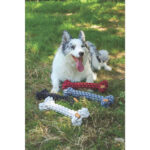 M-Pets Coto Örgü Kemik Köpek Oyuncağı Beyaz 30 Cm - Görsel 3