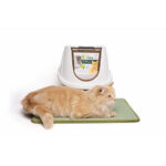 M-Pets Eco Tima Kapalı Kedi Tuvaleti Kum Beji 40x38x53 Cm - Görsel 3