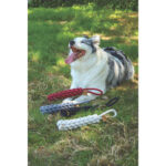 M-Pets Örgü Köpek Oyuncağı Kırmızı 34 Cm - Görsel 2