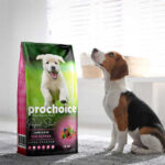 Pro Choice Perfect Start Kuzulu ve Pirinçli Yavru Köpek Maması 12 Kg - Görsel 2