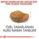 Royal Canin British Shorthair Adult Yetişkin Kedi Maması 10 Kg - Görsel 3