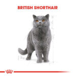 Royal Canin British Shorthair Adult Yetişkin Kedi Maması 2 Kg - Görsel 2