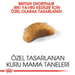 Royal Canin British Shorthair Kitten Yavru Kedi Maması 2 Kg - Görsel 3