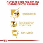 Royal Canin Cavalier King Charles Adult Yetişkin Köpek Maması 1,5 Kg - Görsel 2